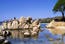 Kaiyun开云中国官方网站关于赛前波士顿凯尔特人备战CBA季后赛，豪取连胜细节曝光，更衣室稳定，控场能力受关注的信息